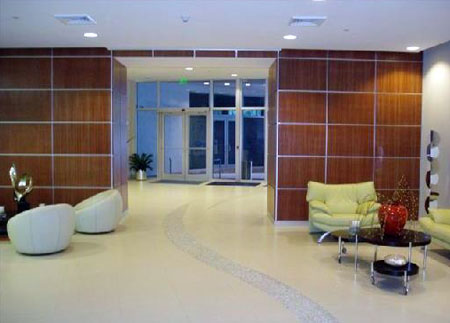 Opera Tower Downtown Miami