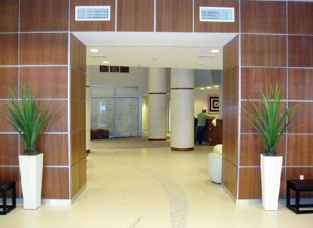 Opera Tower Downtown Miami