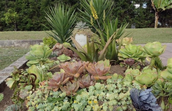 Lote   Vereda La Honda #